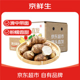 京鲜生浮来山小奶芋 中大果 30-100g 净重3斤 新鲜蔬菜源头直发