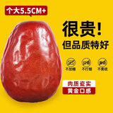 问君 【超大5.5CM枣王】新疆和田特大红枣508g特级六星红枣骏枣玉枣
