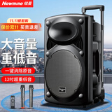 纽曼（Newmine）B12广场舞音响12英寸户外大音量蓝牙拉杆音箱大功率便携式移动演出k歌低音炮地摊摆摊喇叭双麦版