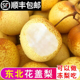 辰实【顺丰】花盖梨 新鲜东北软梨 水果特产可做冻梨 5斤（特大果）约16个