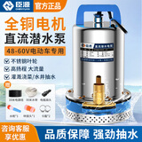 臣源潜水泵直流农用家用浇菜抽水泵电瓶车高扬程井水小型大流量水泵 48-60V/2寸(10米线+30米水带)