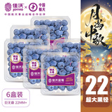 佳沃 JOYVIO秘鲁进口蓝莓巨无霸6盒装 22mm+ 125g/盒 新鲜水果礼盒