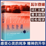 瓦尔登湖 梭罗著外国经典名著小说文学书籍正版外国小说文学作品集名家名译课外阅读 小说