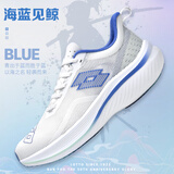 乐途（LOTTO）男鞋碳板跑步鞋男菱冻PRO秋季轻量专业马拉松减震透气运动鞋跑鞋 白蓝色【男款】 43