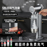 prosoda 气泡水机苏打水机家用自制碳酸饮料打气机器可乐汽水气泡机奶茶店商用 G720灰 带档位灯（配不锈钢水瓶）
