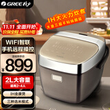 格力（GREE） 大松低糖电饭煲电饭锅 IH电磁加热电饭煲迷你智能家用2L糙米发芽饭金康煲电饭锅1-2人 GDCF-2008C 2L GDCF-2008C
