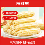 京鲜生 西双版纳拇指小玉米净重1斤装 老品种手指玉米 源头直发包邮