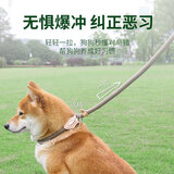 加仕高宠物P链M号 狗狗牵引绳狗绳狗链项圈中小型犬狗狗外出遛训犬狗带