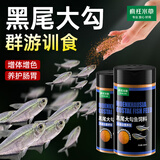 疯狂水草黑尾大勾鱼饲料鱼食小型鱼专用鱼粮观赏孔雀鱼群游训练器250ML*2