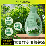 施可丰富贵竹营养液水养水培治黄叶绿植专治叶子发黄干尖转运竹土培