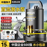 扬子直流潜水泵农用家用浇菜抽水泵电瓶车高扬程井水小型大流量水泵 48/60V-1寸11米线【黑金高性能】