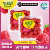 怡颗莓【颗颗饱满】当季云南蓝莓 国产蓝莓 新鲜水果送礼 当季云南树莓 125g*2盒