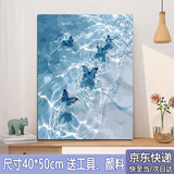铂呐苓蝴蝶数字油画2025新款diy手工油彩画涂色唯美高级装饰挂画高颜值 大海蝴蝶【40*50cm】