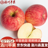 洛川苹果陕西延安红富士时令苹果水果礼盒礼品苹果生鲜新鲜脆甜整箱好吃 18枚75mm优选果 彩箱装