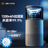 大宇（DAEWOO） 无雾加湿器卧室空气净化一体机母婴幼儿大容量家用静音鼻炎除菌冷蒸发式办公室客厅大面积增湿 J11Ultrawifi款