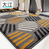 大江入户地垫门口脚垫进户门玄关进门垫入户门地垫100x120cm