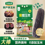 华田禾邦【大棒2根】东北黑糯玉米400g以上 新鲜甜黏玉米粒 早餐苞米 烧烤