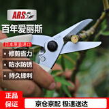 爱丽斯（ARS）进口140DX修枝剪剪枝剪 整枝剪花剪园艺剪刀果树剪园艺工具