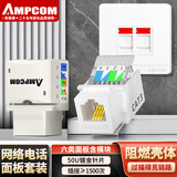 安普康（AMPCOM）网络面板带插座六类 双口千兆CAT6网线模块 86型二位RJ45/11镀金网口语音电话免打模块 AC173342