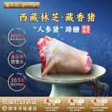 嘉平月藏香猪排骨肋排新鲜五花肉黑猪肉生鲜西藏林芝散养农家黑毛土猪 臻品猪肘【西藏直供】 净重5斤