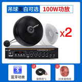 先科（SAST） 天花吊球音响蓝牙功放套装背景音乐奶茶店餐厅咖啡厅超市室内商店铺用音箱吊顶吸顶装喇叭 蓝牙功放+同轴吊球*2个（建议60平方使用） 白色吊球