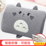 织绣情 热水袋暖宝宝充电式注水敷肚子暖手宝防爆电热宝电暖宝暖水袋 （可拆洗）圆眼龙猫-灰色-仿兔绒