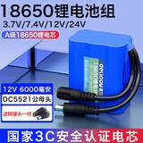 德力普（Delipow）18650锂电池组12V 6000mAh大容量充电电池适用扩音器/收音机/唱戏机/户外音响/太阳能灯/玩具车等