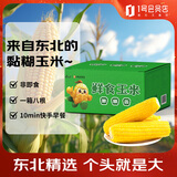 建三江 东北黄糯玉米 240g*8根 黏玉米  减脂早餐 礼盒 铝箔包装