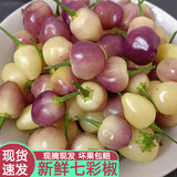 半亩庄园广西七彩椒新鲜五彩椒蔬菜 辣椒 五色椒现摘现发五色椒农产品泡椒 2斤