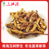 三江源冬虫夏草断草10克野生冬虫夏草断虫草青海玉树虫草断草高海拔虫草