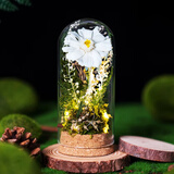 玫瑰盒子小雏菊永生花玻璃罩情人节生日礼物女送女生朋友结婚纪念高级实用