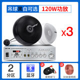 先科（SAST） 天花吊球音响蓝牙功放套装背景音乐奶茶店餐厅咖啡厅超市室内商店铺用音箱吊顶吸顶装喇叭 蓝牙功放+同轴吊球*3个（建议90平方使用，送话筒） 黑色吊球