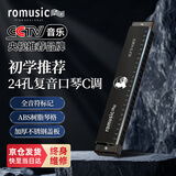 romusic口琴 24孔复音C调初学口琴（黑色）学生教学推荐