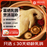 One's Member 富硒汤鸽 530g (2只) 冷冻原粮喂养滋补炖汤烤乳鸽子肉