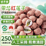 鲜丰春带芯红莲子湖南特产无硫纯天然无添加莲芯煲汤四红汤湘莲湘潭250g