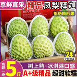 壹萌果蔬释迦果新鲜凤梨释迦果番荔枝大目林擒佛头广西热带水果中秋送礼 5斤老树果【单果300g+】净4.5斤