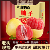 土八鲜福建琯溪红心蜜柚新鲜水果平和红心柚子当季采摘三红柚子整箱 【精选大果】8.5斤（3-4个装）