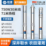 臣源深井潜水泵不锈钢深井泵220V高扬程大流量家用小型井水螺杆抽水泵 全不锈钢750W+30米线 71米扬程 10个叶轮