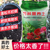 花相邻通用型有机营养土养花种菜瓜果盆栽专用土种植土壤多肉绿萝土介质 高品质营养土50斤/已混入羊粪肥