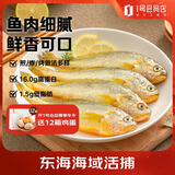 三都港冷冻东海海捕小黄鱼3斤 45-54条 生鲜鱼类 海鲜水产 深海鱼烧烤