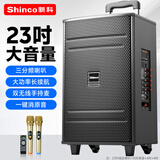 新科M23-T 广场舞音响户外拉杆蓝牙音箱三喇叭重低音木质箱体家用K歌移动摆摊低音炮 15吋双话筒版