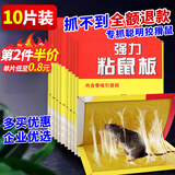 楚婕雅强力粘鼠板老鼠贴超粘板加厚灭鼠老鼠一窝端驱鼠神器家用黏鼠10片