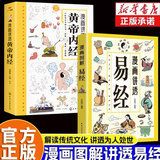 【官方正版-现货速配】漫画讲透易经正版文白对照彩色插图版 漫画图解易经轻松掌握理解用方式打开六十四卦入门白话详解深入解读传统中国文化经典图解国学道德经 【2册】漫画讲透黄帝内经+漫画讲透易经