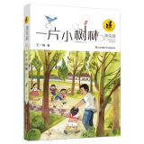 王一梅漂流屋系列：一片小树林/王一梅长篇纪实小说，乡村小学里的教育梦