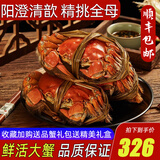 【活蟹】阳澄清歆大闸蟹 鲜活特大螃蟹公蟹母蟹 海鲜水产生鲜礼盒 大蟹全母蟹3.2-3.5两 八只礼盒装