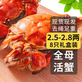 【活蟹】乾澄大闸蟹现货 全母蟹2.5-2.8两 8只 去绳足重鲜活螃蟹河蟹海鲜礼盒源头直发