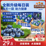 三只松鼠每日蓝莓干256g/16包 无添加水果干果脯小包装儿童老人办公室零食