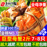 【活蟹】网兜蟹辽宁盘锦河蟹稻田河蟹礼盒螃蟹鲜活大闸蟹无绳净重 全母蟹丨2.4-2.6两【2斤】7-8只