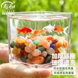 寿禾 玻璃瓶水培植物桌面盆栽加厚透明插花瓶 12*12cm方形水培玻璃瓶