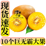 淳果一木 黄心猕猴桃 黄金奇异果金果猕猴桃河南 新鲜水果 生鲜 水果 10个 精选巨无霸大果 单果100克+